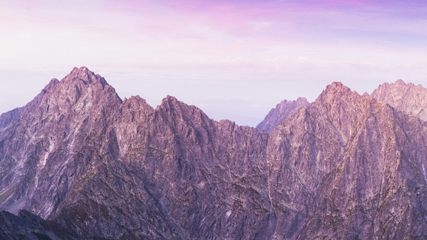 Green leaves with soft backlight on a calm afternoon